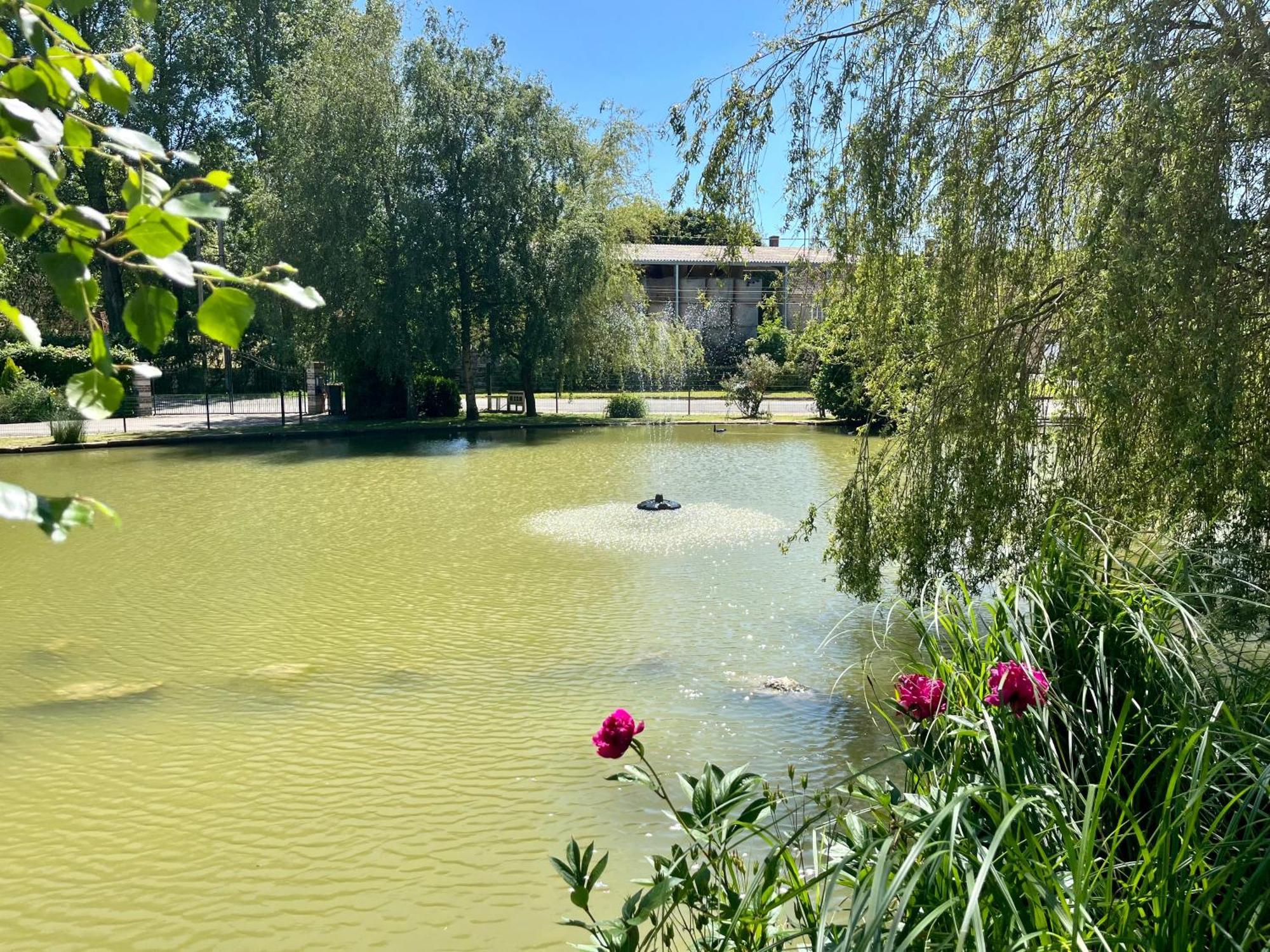 L'Etang D'Une Pause Samer Екстериор снимка